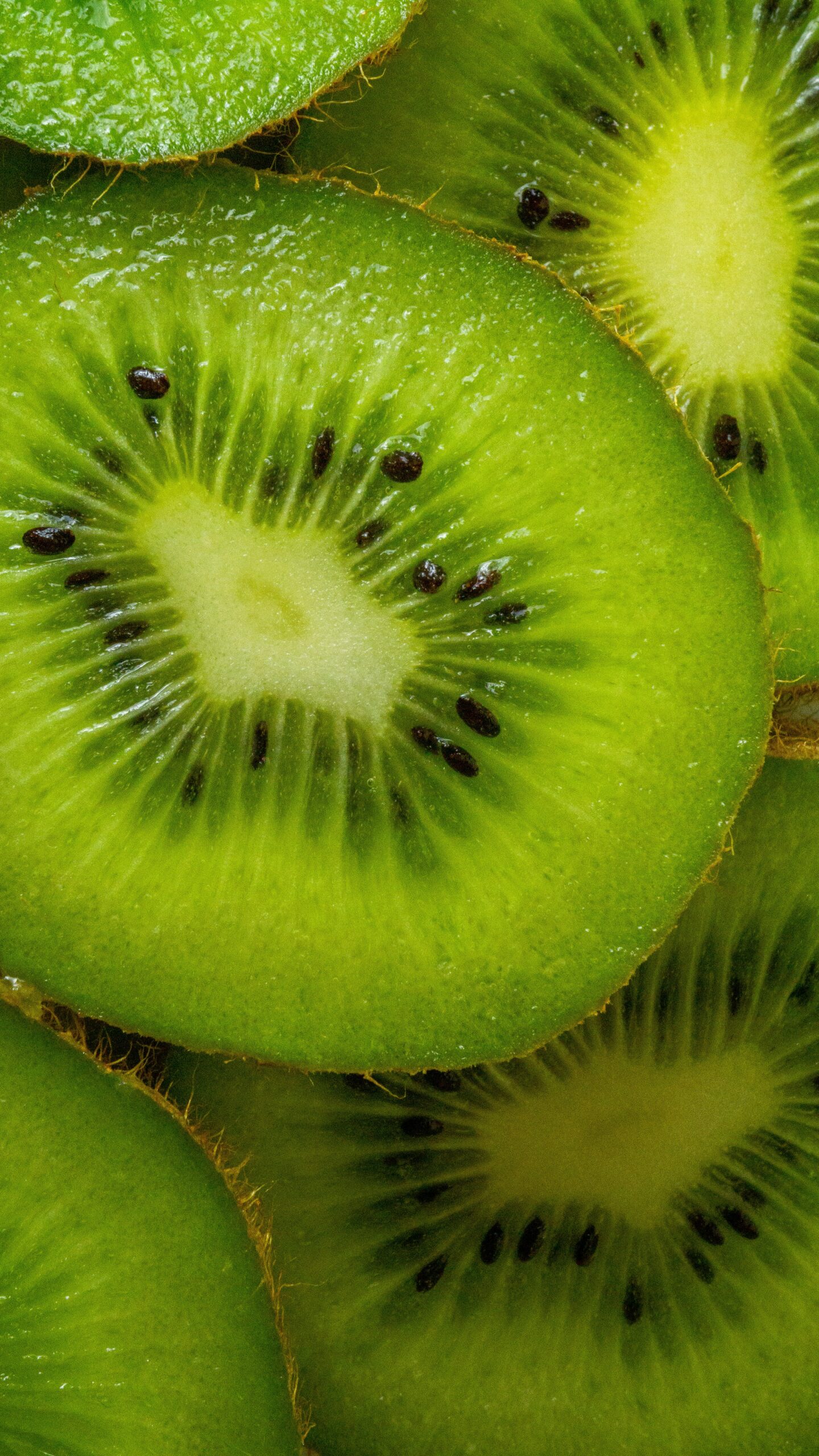 KIWI