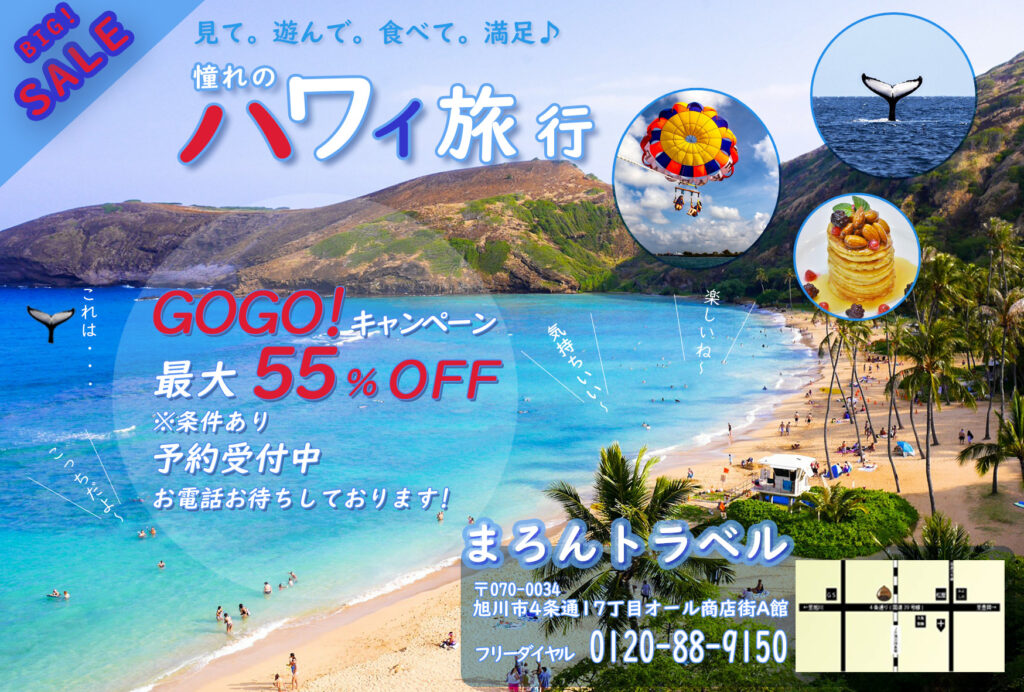 格安ハワイ旅行DM